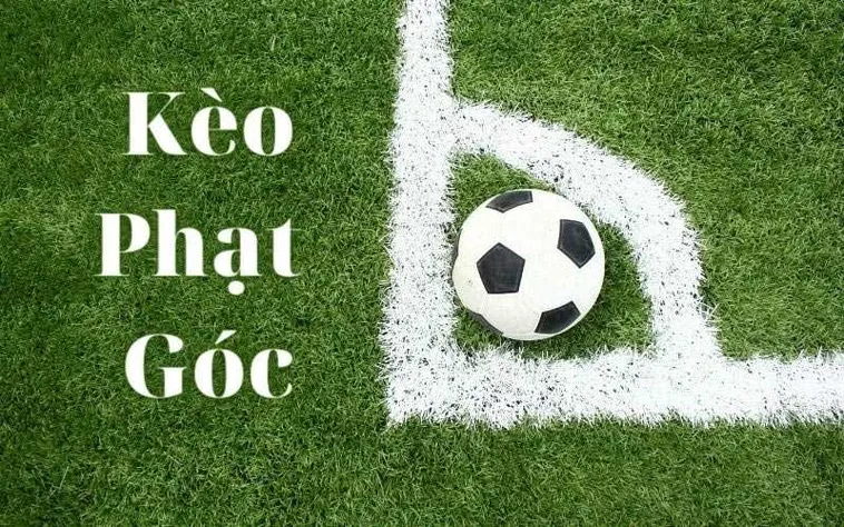 Hướng Dẫn Soi Kèo Phạt Góc Bóng Đá Tại NowGoal Cực Chuẩn