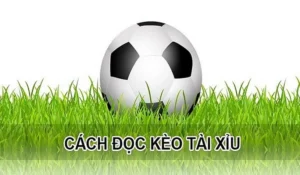 Bí Quyết Soi Kèo Tài Xỉu Tại NowGoal Giúp Bạn Chiến Thắng Mọi Trận Đấu