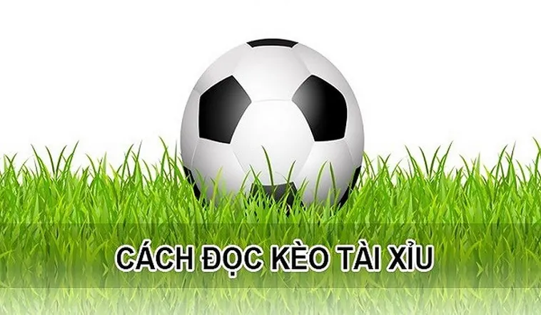 Bí Quyết Soi Kèo Tài Xỉu Tại NowGoal Giúp Bạn Chiến Thắng Mọi Trận Đấu