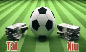 Cách Xem Kèo Tài Xỉu Bóng Đá Tại NowGoal Để Thắng Lớn