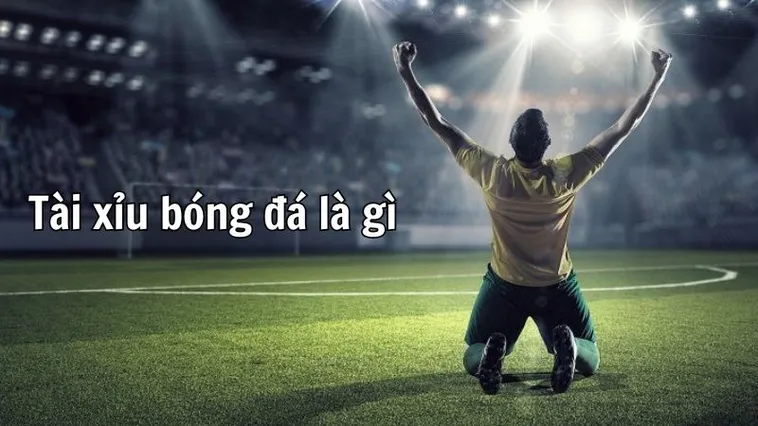 Cách Xem Kèo Tài Xỉu Bóng Đá Tại NowGoal Để Thắng Lớn