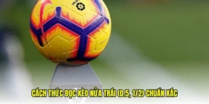 Cách Xem Kèo Chấp 0.5 Tại NowGoal Chính Xác Cho Người Theo Dõi