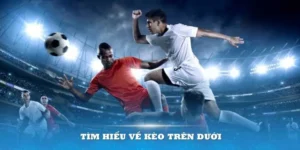 Cách Phân Biệt Kèo Trên Kèo Dưới Tại NowGoal Cho Người Mới Bắt Đầu
