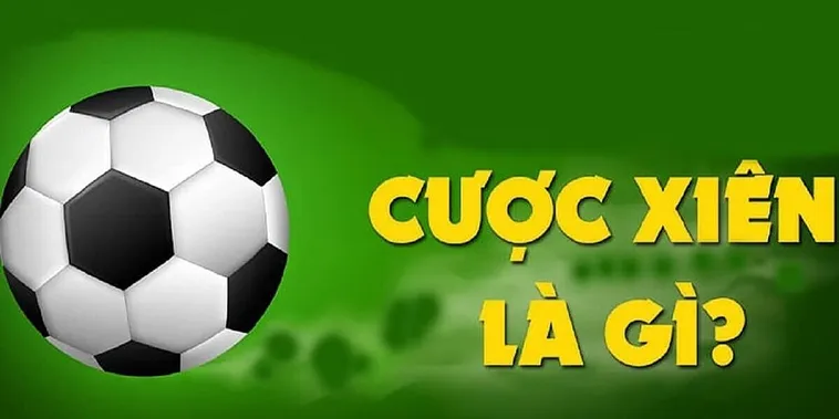 Cách Tính Kèo Xiên Trong Bóng Đá Tại NowGoal Đơn Giản Dễ Hiểu